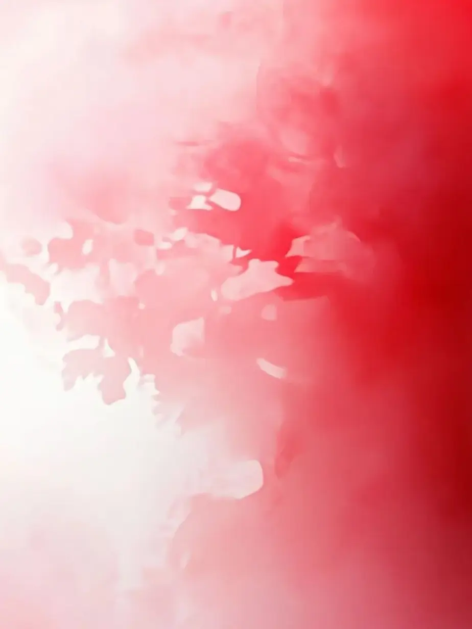 PurpleGravy3220의 本田桐