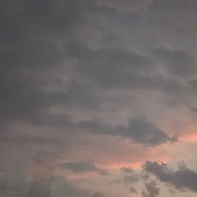 Profile image of 이민호