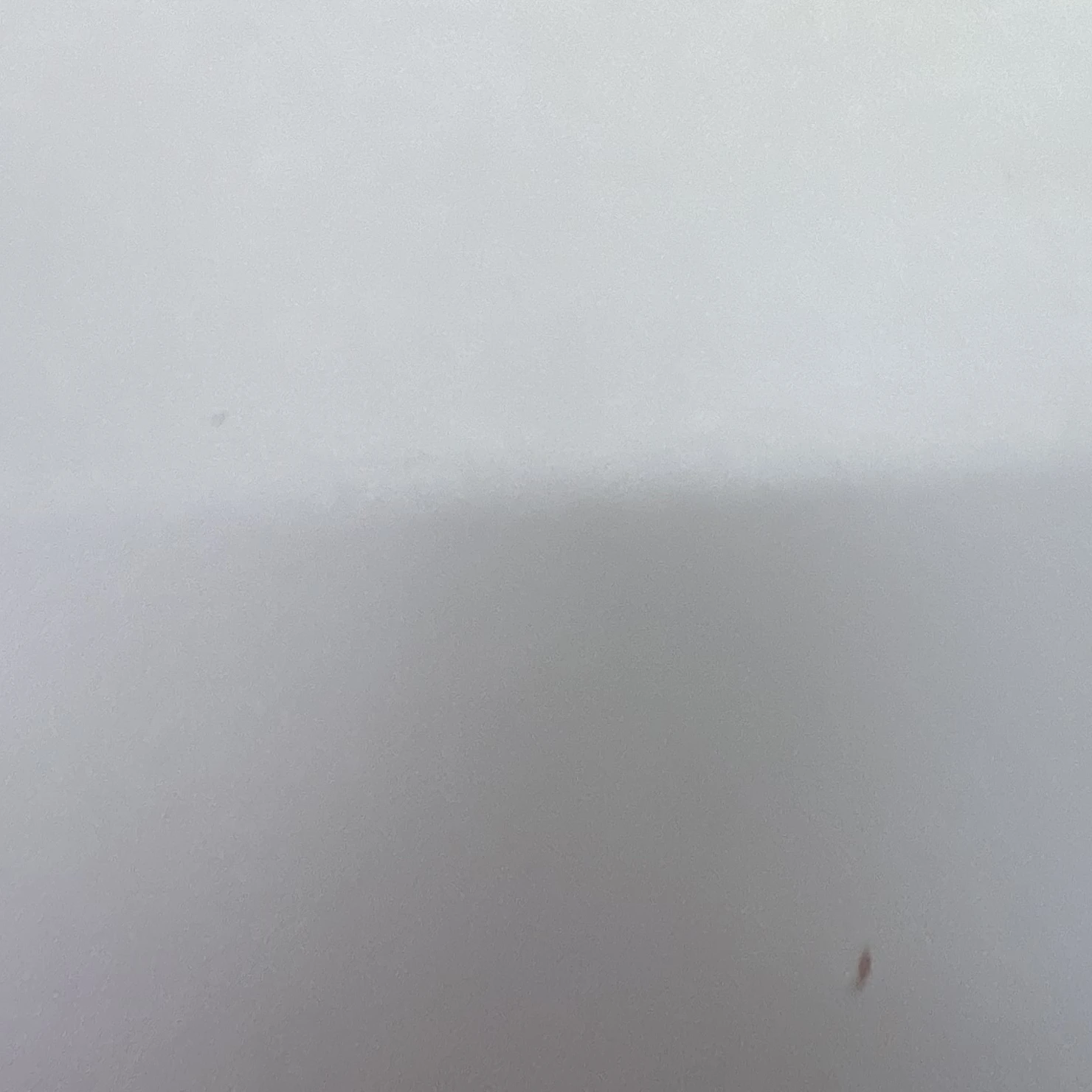 이다은