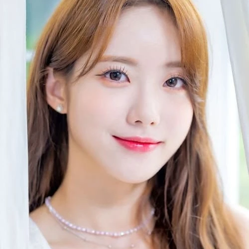 배누리