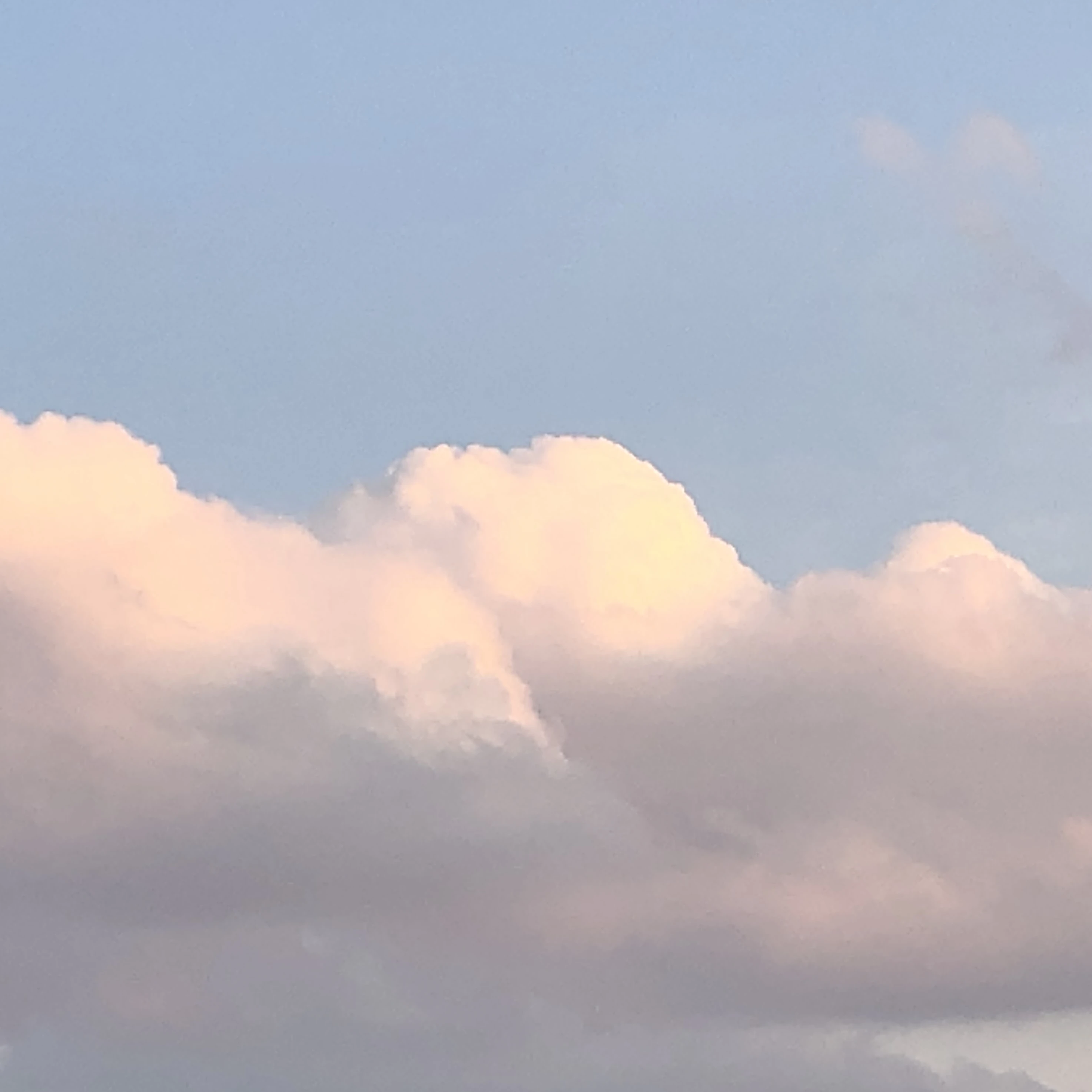 さくと