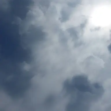 Profile image of 에스파