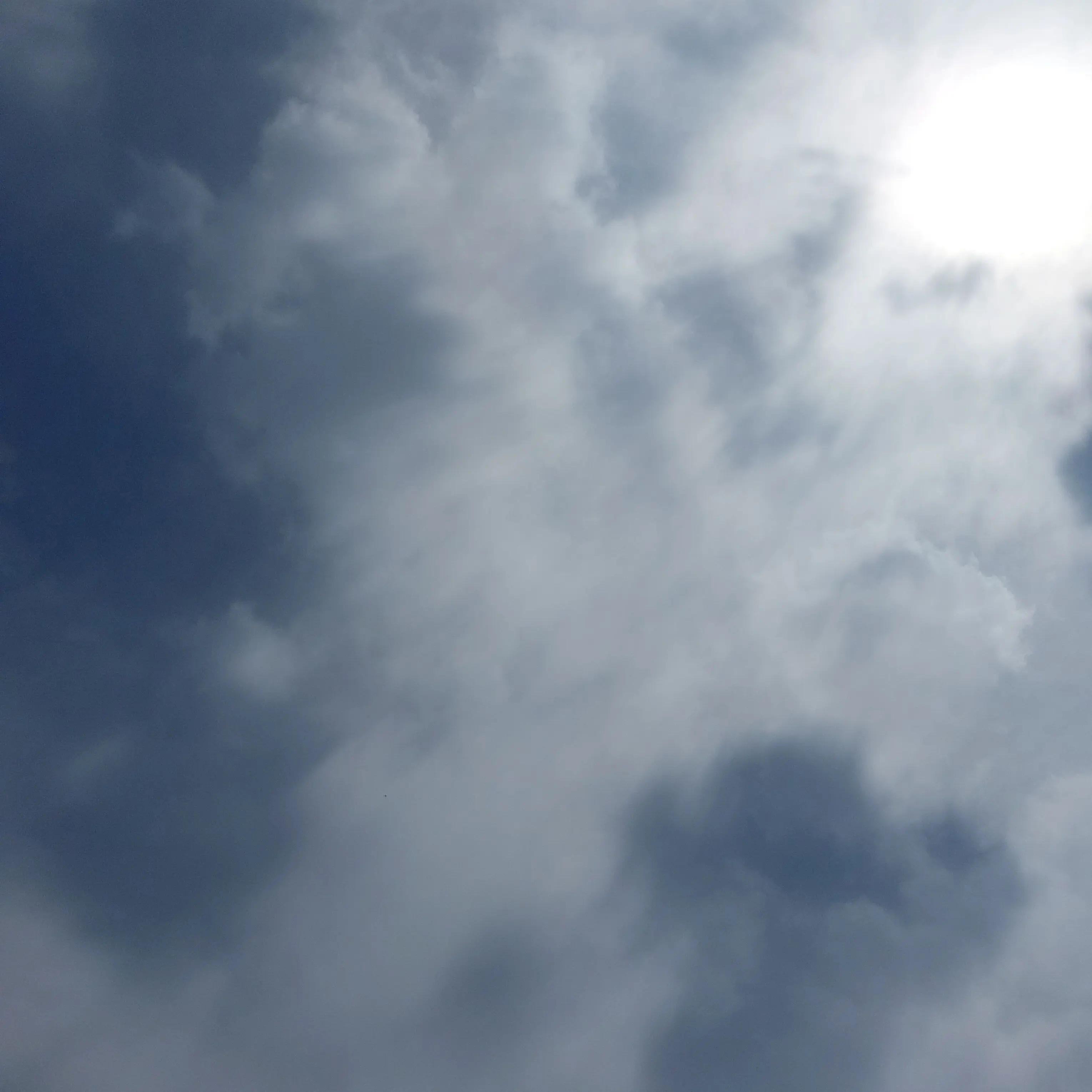 JollyShot2680의 에스파