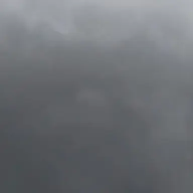 Profile image of 김애리