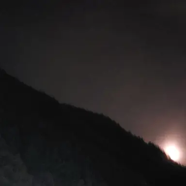 Profile image of 김민정