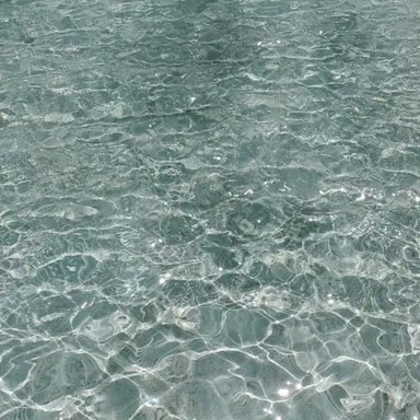 Profile image of 익스플로러즈