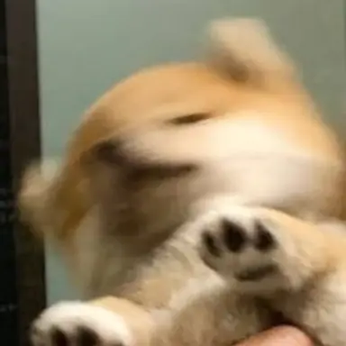 Profile image of フッフール