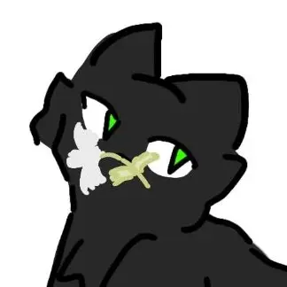 Profile image of 칸