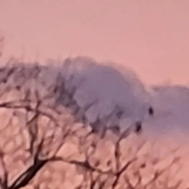 SleepyPatch3664의 수인 빅뱅