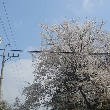 Profile image of 백지헌