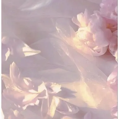Profile image of 밥풀