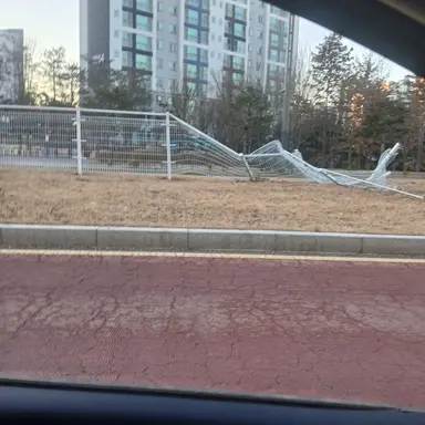 Profile image of 김호룡