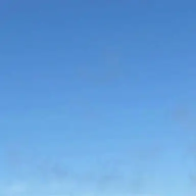 Profile image of SnowMan