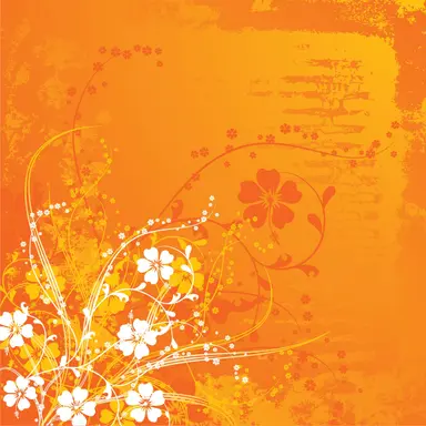 Profile image of 向井康二