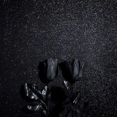 Profile image of 目黒蓮