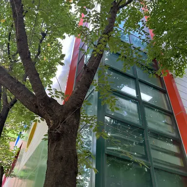 Profile image of 김원필