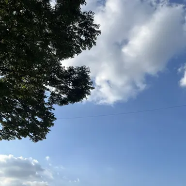 Profile image of 강영현