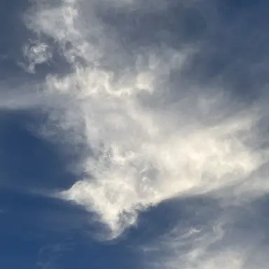 Profile image of 박성진