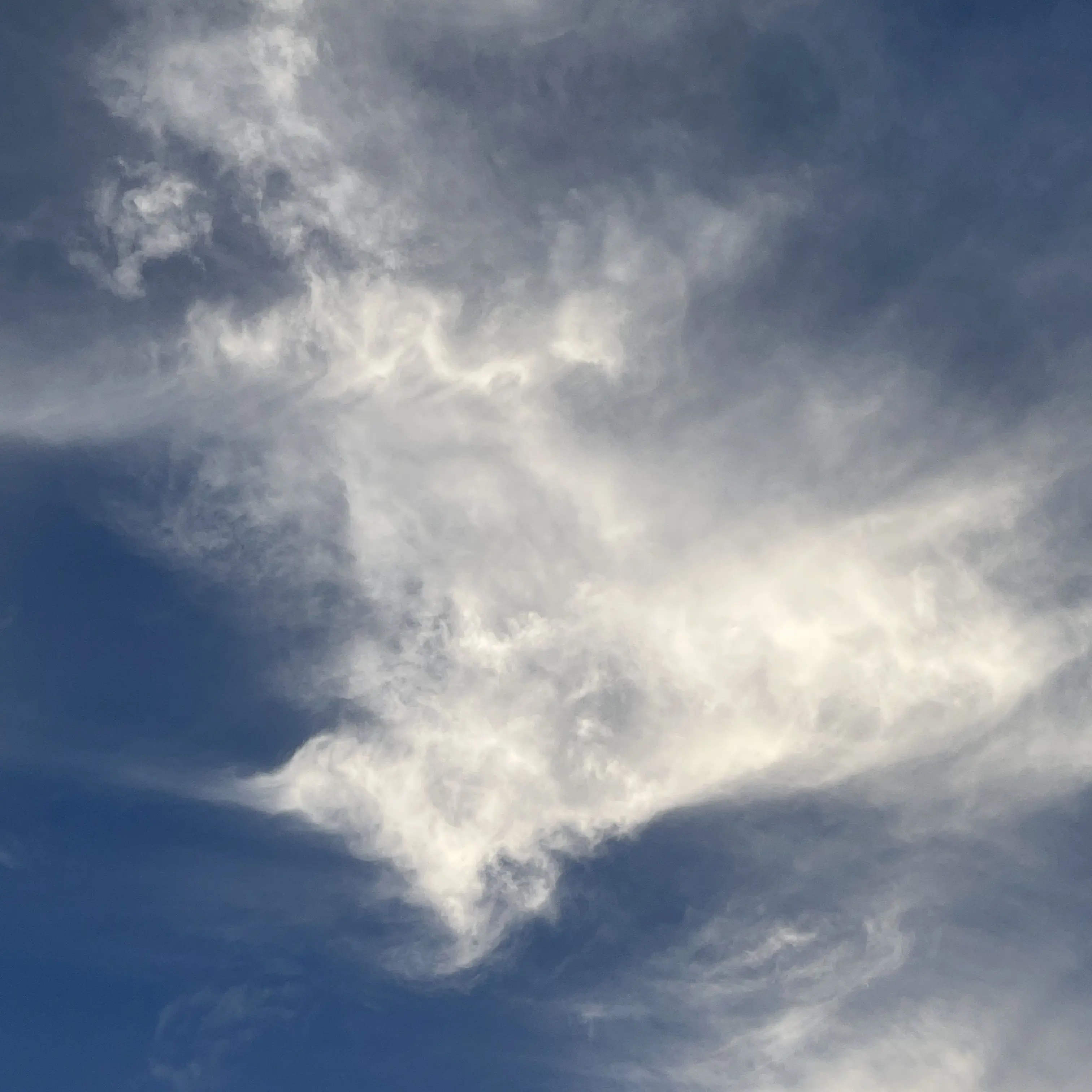 LooseTape3022의 데이식스