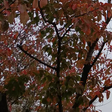 Profile image of 남자 쿠키들