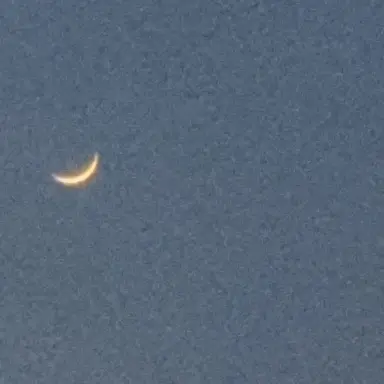 Profile image of 오빠