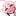 엔젤P
