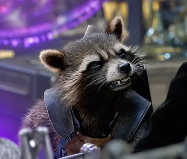Profile image of Rocket
