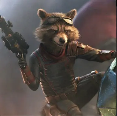 Profile image of Rocket