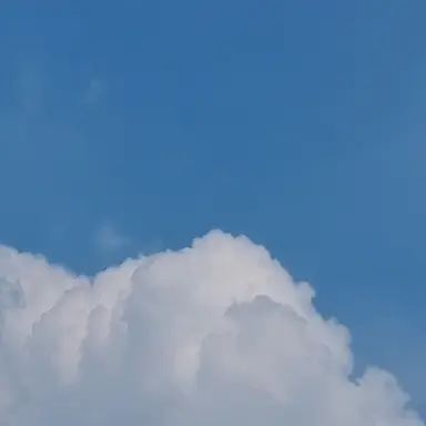 Profile image of 코쿠시보