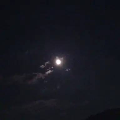 Profile image of 한.동민