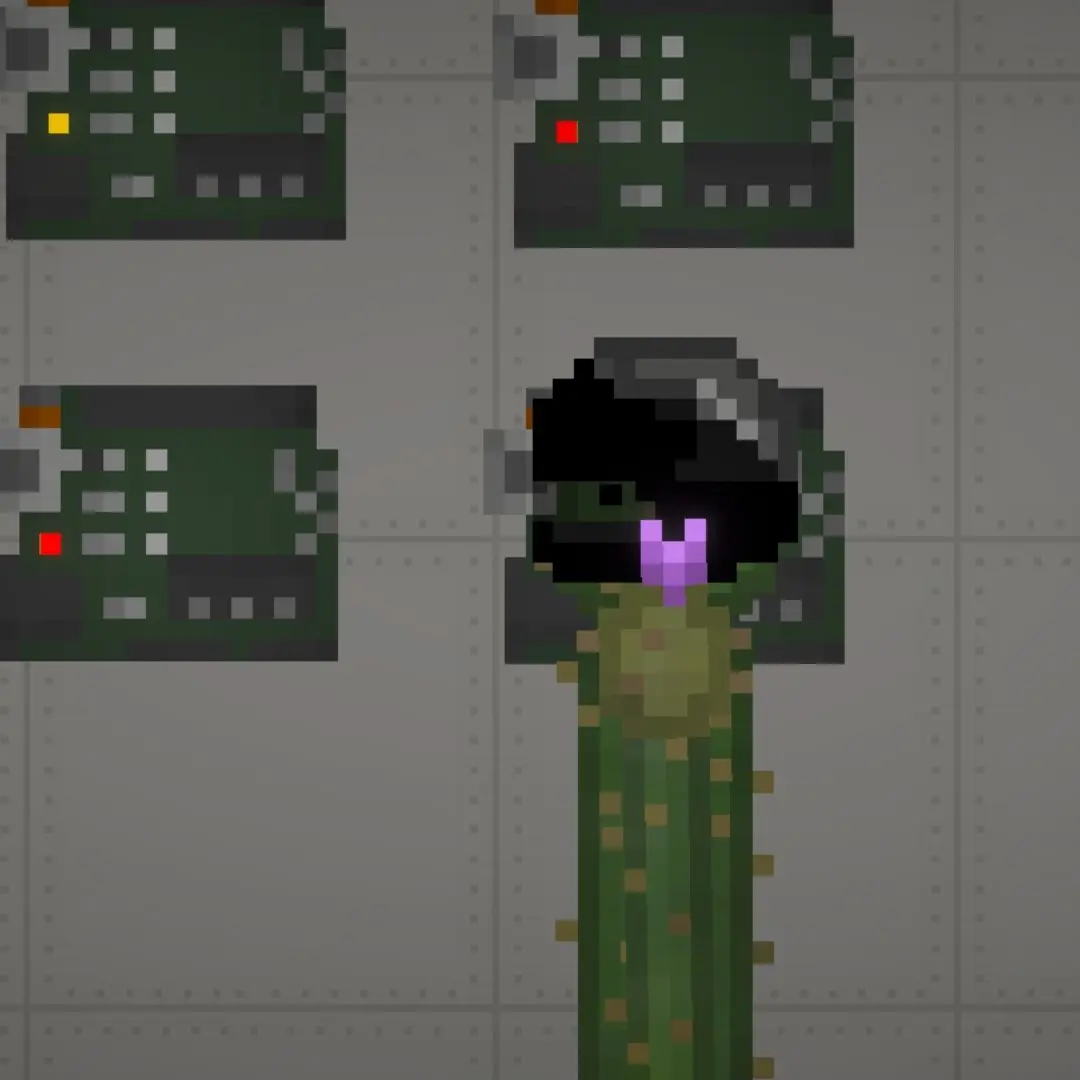 PoeticAlbum2659의 멜론과 호박 두쫀쿠를 살수있나?