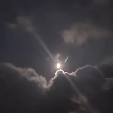 Profile image of 유지민