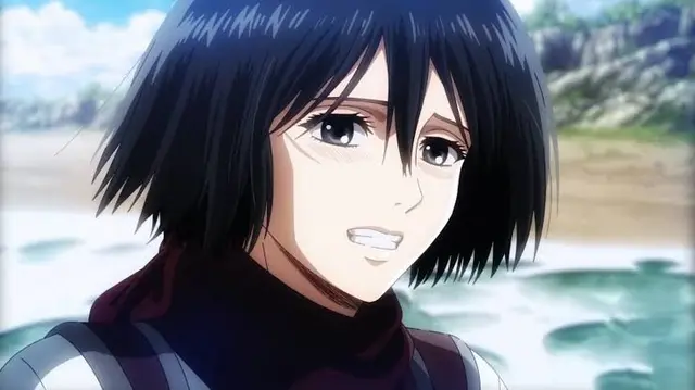 Profile image of Mikasa