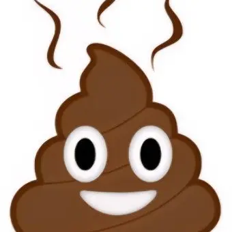 DohyunLeg1508의 똥