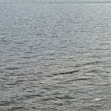 Profile image of 또이