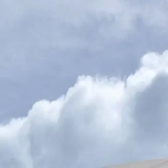 Profile image of 료미