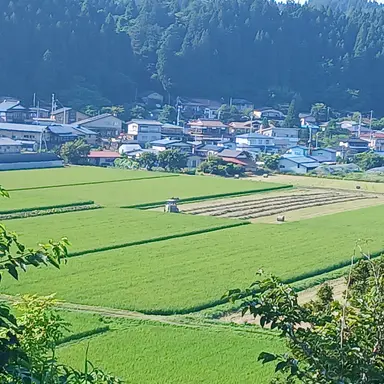 Profile image of 藤澤 涼架