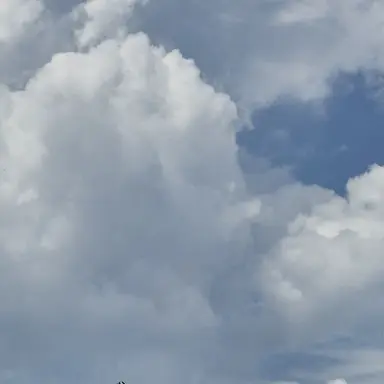 Profile image of 덕개