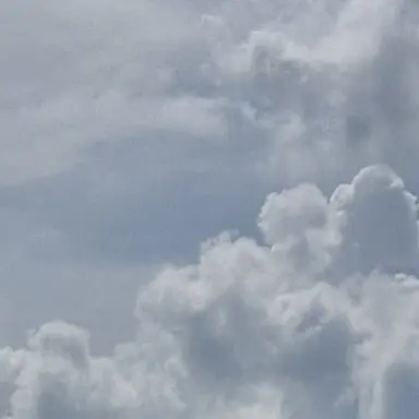 Profile image of 수현