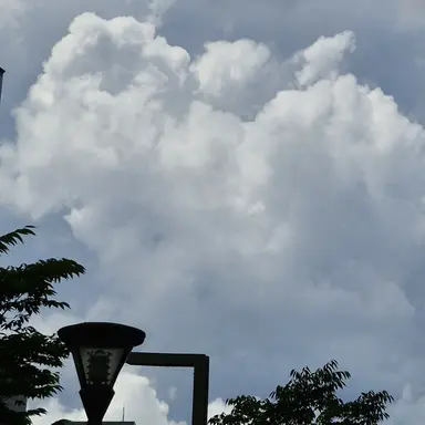 Profile image of 공룡