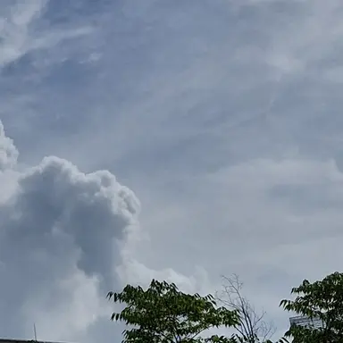 Profile image of 라더