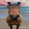 Profile image of .