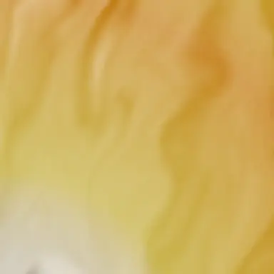 Profile image of 篠原