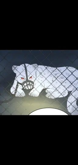 Profile image of Ivan