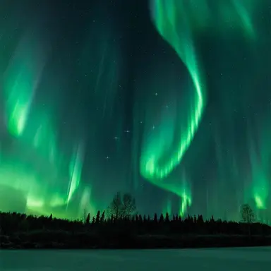 Profile image of 공룡