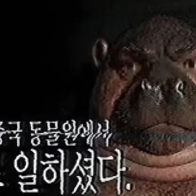 Profile image of 챗쥐피티