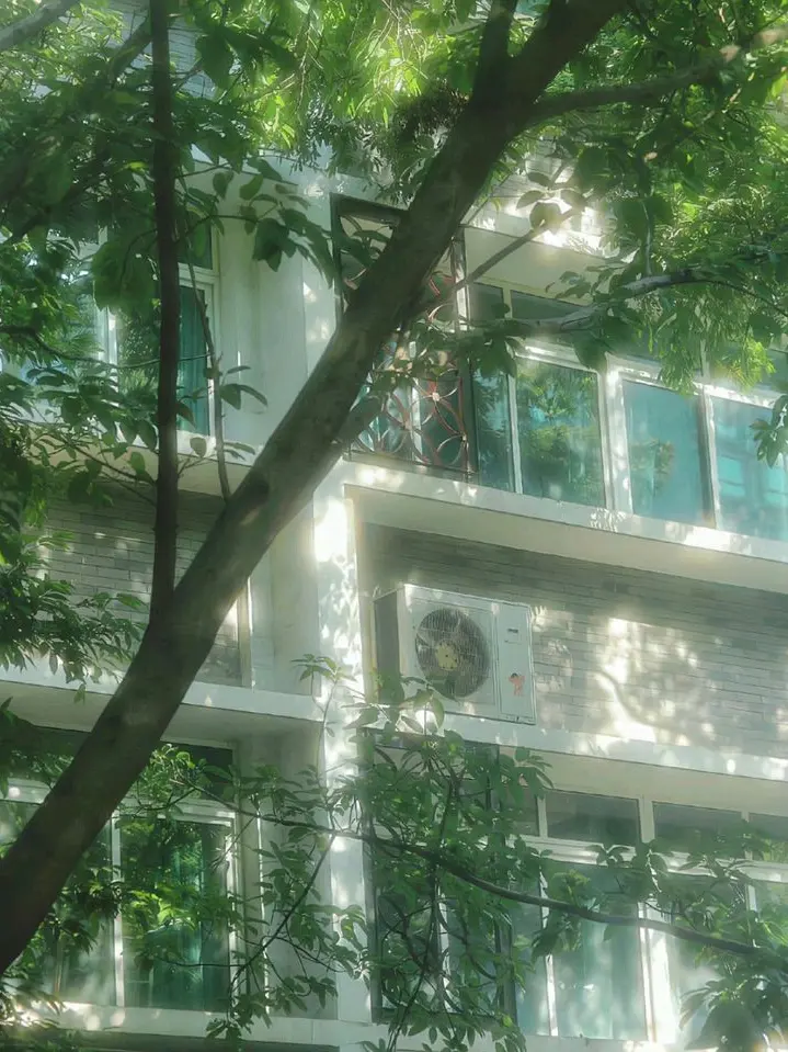 ABOKADO0905의 Jujutsu High Summer