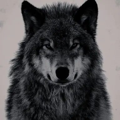 Profile image of 토스