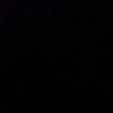 Profile image of 김동현