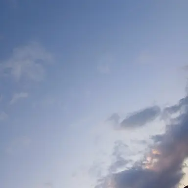 Profile image of 라더